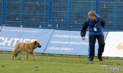 Klikněte pro zobrazení původního (velkého) obrázku